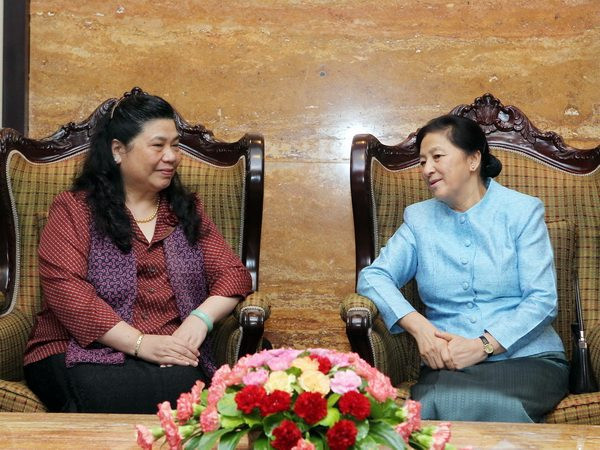 Việt Nam luôn dành ưu tiên cho tăng cường quan hệ với Lào ảnh 1