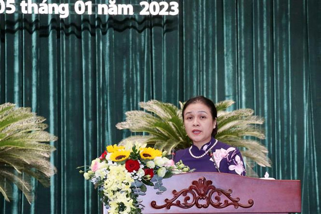 Nâng cao hiệu quả đối ngoại nhân dân phục vụ phát triển đất nước ảnh 3