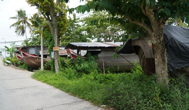 Nhiều ghe gỗ trọng tải lớn ở Đồng Tháp chờ tiêu thụ suốt 10 năm qua ảnh 1