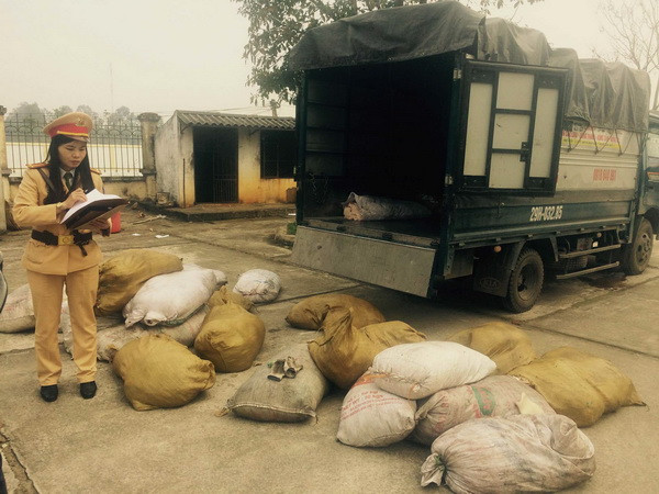 Kịp thời ngăn chặn hơn 2 tấn bì lợn bốc mùi hôi thối vào bàn tiệc Tết ảnh 1