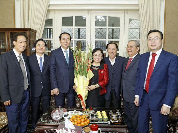 Chủ tịch nước thăm, chúc Tết các trí thức tiêu biểu của thủ đô ảnh 3