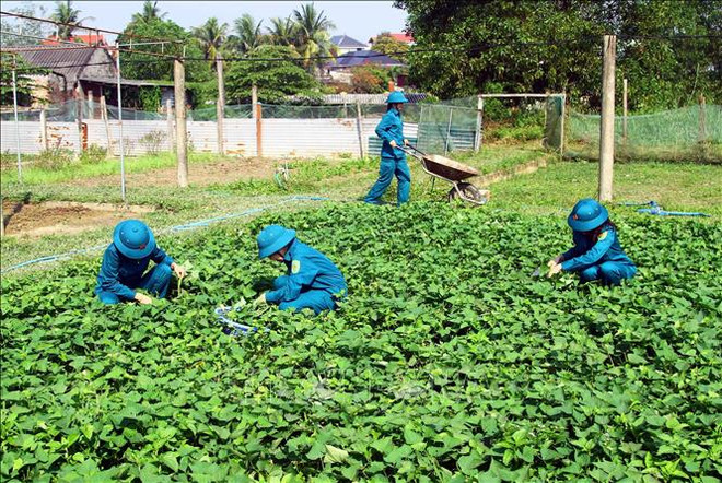 ttxvn_nu phao thu1.jpg