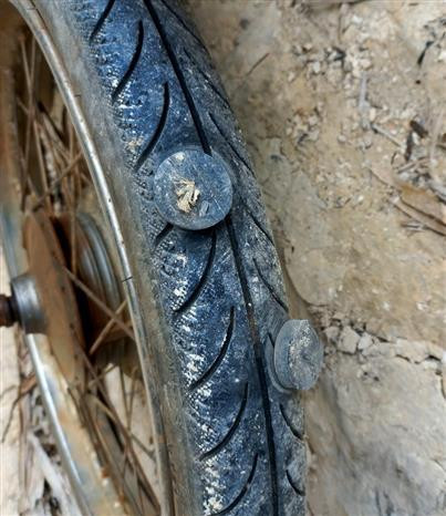 Đắk Nông: Gian nan hành trình giữ rừng phòng hộ Gia Nghĩa ảnh 2