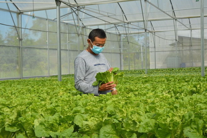 Tăng cường bảo đảm an ninh, an toàn thực phẩm trong tình hình mới ảnh 1