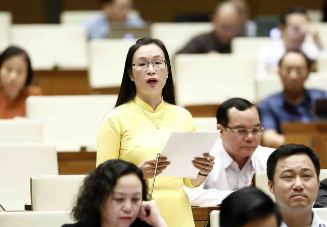 Mở rộng dân chủ, tăng tính pháp quyền trong hoạt động của Quốc hội ảnh 2