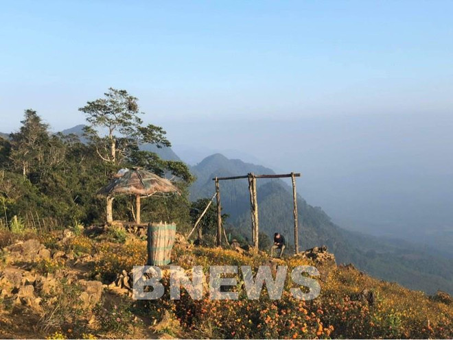 Bản Pà Cò đón Xuân. (Ảnh: Thúy Hiền/Bnews/TTXVN/Vietnam+) Hòa Bình: Bản Pà Cò thu hút khách du lịch với 4 mùa trong ngày ảnh 1