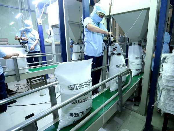 Ai Cập sẽ nhập khẩu một triệu tấn gạo trắng của Việt Nam ảnh 1