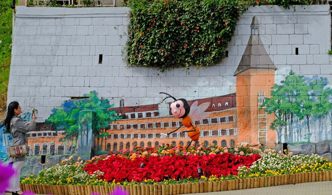 Phó Chủ tịch nước dự khai mạc Festival Hoa Đà Lạt lần thứ IX ảnh 1