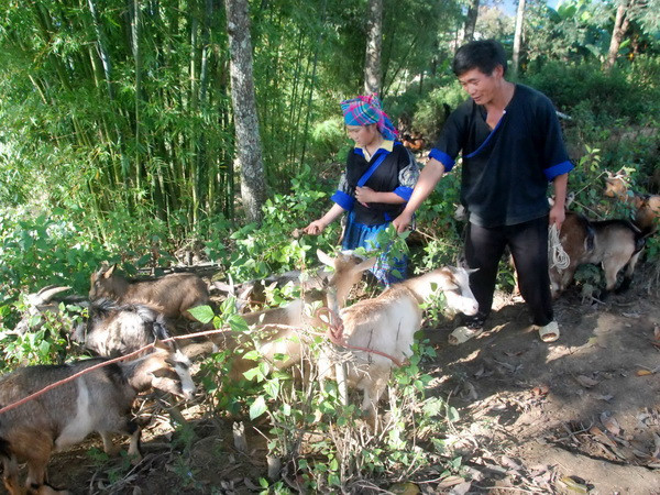 Tiếp tục rà soát và hoàn thiện hệ thống chính sách giảm nghèo ảnh 1