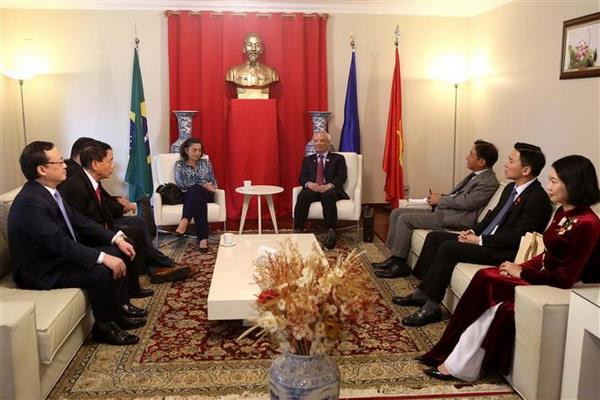 Phó Chủ tịch Quốc hội Uông Chu Lưu tiếp bà Sorroco Gomez, Chủ tịch Trung tâm Hòa bình vì sự đoàn kết các dân tộc và Đấu tranh vì hòa bình của Brazil, đồng thời là Chủ tịch Hội đồng Hòa bình thế giới. (Ảnh: Hoài Nam/TTXVN) Việt Nam và Brazil tăng cường hợp tác trong lĩnh vực lập pháp ảnh 3