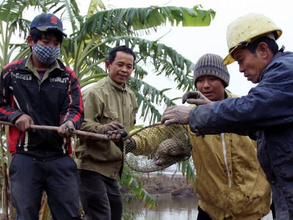 Nâng cao cảnh giác ngăn ngừa dịch hạch xâm nhập vào Việt Nam ảnh 1