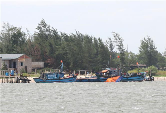 Chủ động ứng phó với áp thấp nhiệt đới có khả năng mạnh lên thành bão ảnh 1