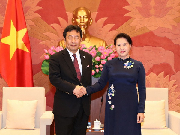 Đoàn đại biểu Đảng Dân tiến Nhật Bản thăm và làm việc tại Việt Nam ảnh 1