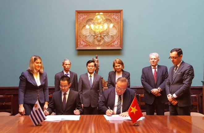 Thứ trưởng Ngoại giao tiến hành tham khảo chính trị tại Uruguay ảnh 2