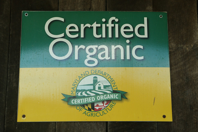 Bài 4: Trang trại cộng đồng giúp người Mỹ giải bài toán thực phẩm sạch ảnh 10