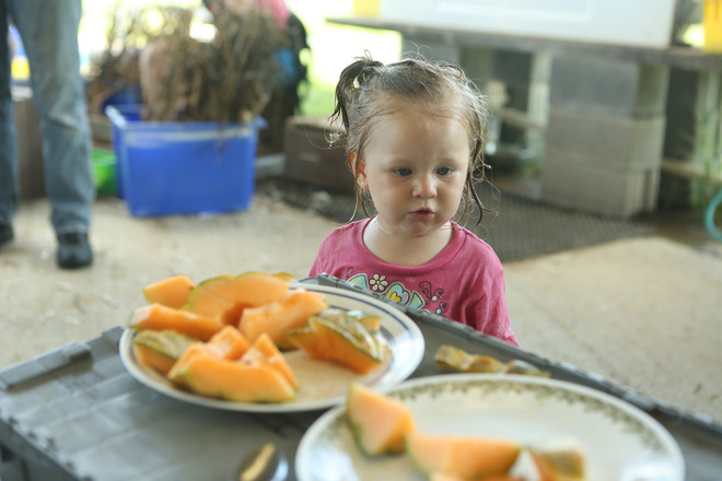 Bài 4: Trang trại cộng đồng giúp người Mỹ giải bài toán thực phẩm sạch ảnh 8