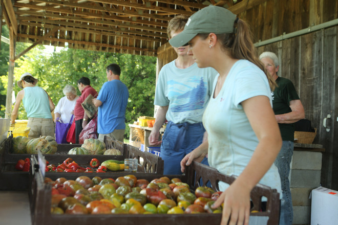 Bài 4: Trang trại cộng đồng giúp người Mỹ giải bài toán thực phẩm sạch ảnh 6