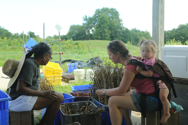 Bài 4: Trang trại cộng đồng giúp người Mỹ giải bài toán thực phẩm sạch ảnh 18