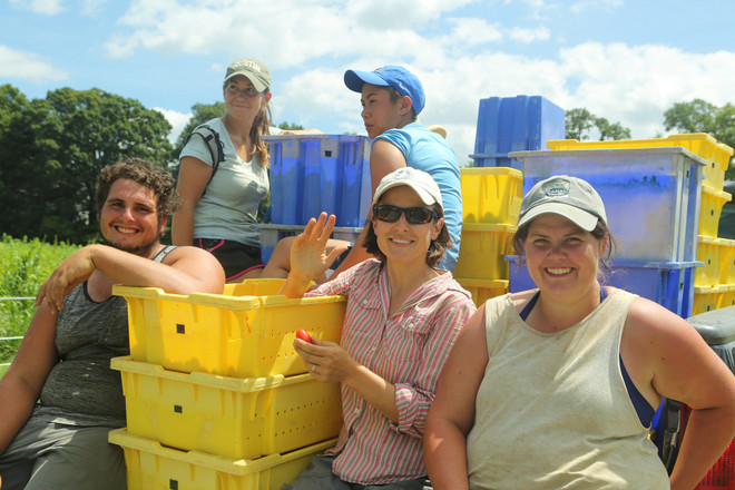Bài 4: Trang trại cộng đồng giúp người Mỹ giải bài toán thực phẩm sạch ảnh 14