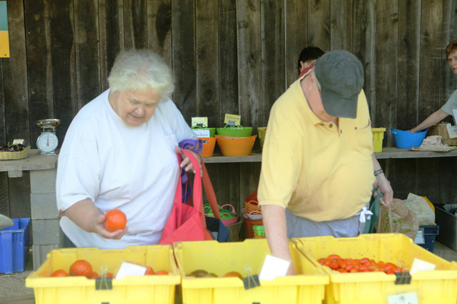 Bài 4: Trang trại cộng đồng giúp người Mỹ giải bài toán thực phẩm sạch ảnh 2