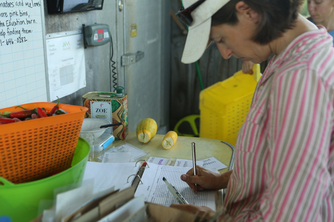 Bài 4: Trang trại cộng đồng giúp người Mỹ giải bài toán thực phẩm sạch ảnh 17