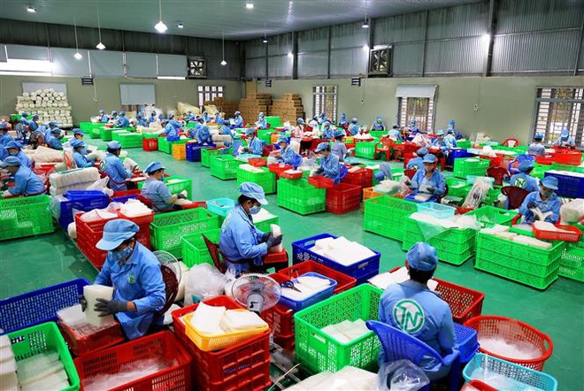 Xưởng sản xuất bánh tráng của Công ty Trách nhiệm hữu hạn Tân Nhiên. (Ảnh: Hồng Đạt/TTXVN) Tây Ninh phục hồi sau đại dịch: Hỗ trợ doanh nghiệp, người lao động ảnh 2