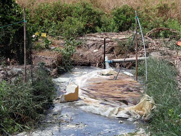 Vụ rò khí hầm biogas ở Cà Mau: Bốn nạn nhân được xuất viện ảnh 1