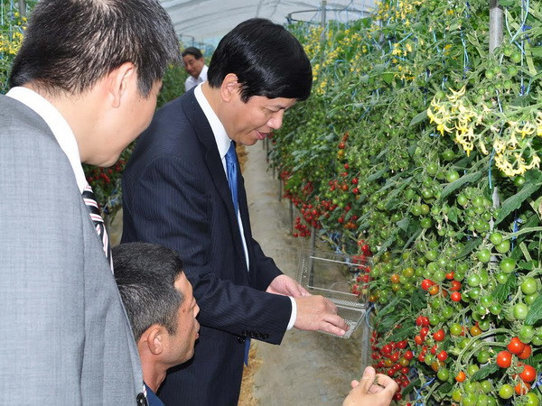 Tỉnh Wakayama muốn tăng hợp tác du lịch, ngư nghiệp với Việt Nam ảnh 1