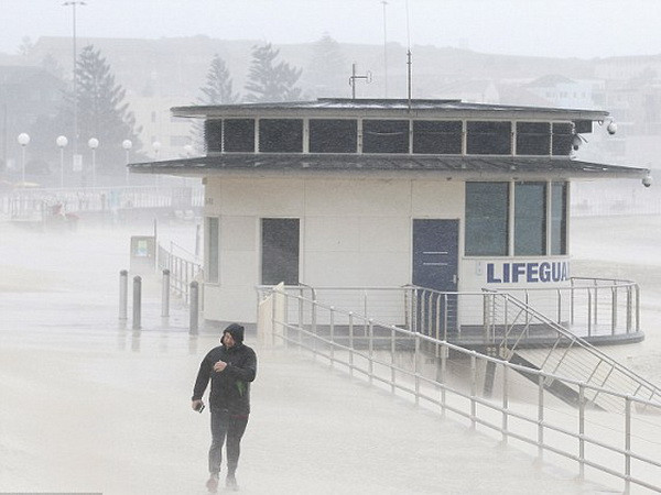 Thời tiết lạnh giá, gió mạnh bất thường lan rộng tại Australia ảnh 1