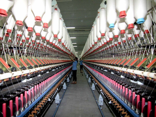 Dệt may Việt Nam đón cơ hội từ những FTA thế hệ mới ảnh 1