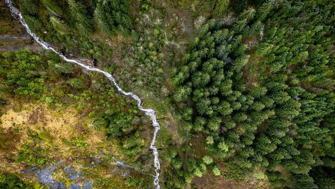 Đan Mạch gây quỹ 2,6 triệu USD nhằm chống biến đổi khí hậu ảnh 1