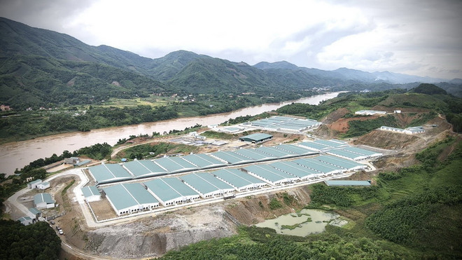 Những chiếc bể chứa chất thải chăn nuôi của trang trại lợn nằm lộ thiên ngay sát bờ sông Hồng. (Ảnh: Tuấn Anh/TTXVN) Yên Bái: Phạt gần 300 triệu đồng với trang trại nuôi lợn gây ô nhiễm ảnh 1