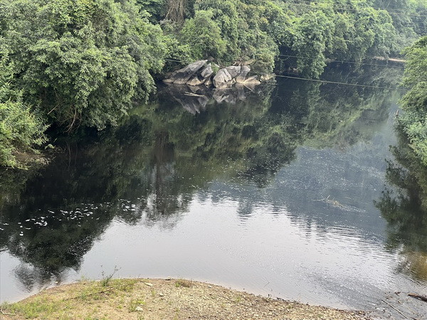 Thanh Hóa: Dừng hoạt động với công ty xả thải gây ô nhiễm sông Tràng ảnh 1