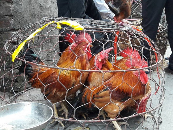 Những phiên chợ kỳ lạ chỉ họp một lần vào dịp Tết Nguyên đán ảnh 2