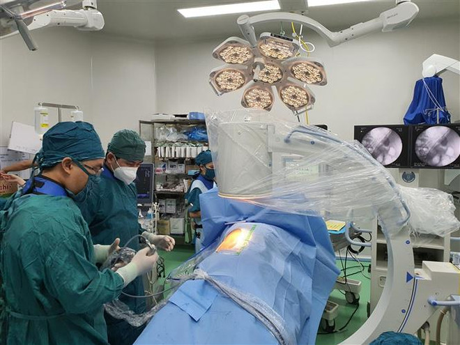 UNDP khởi động dự án mới hỗ trợ Việt Nam phòng, chống tham nhũng ảnh 1