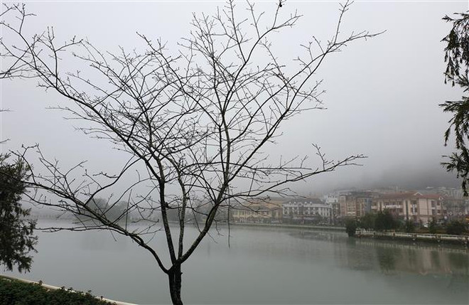 Mùng 1 Tết, miền Bắc rét đậm, vùng núi xuất hiện băng giá ảnh 1