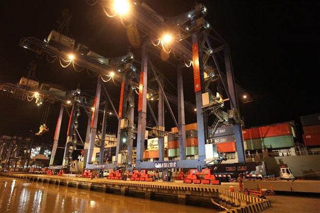 Tân Cảng Sài Gòn phát lệnh làm hàng đầu Xuân Canh Tý 2020 ảnh 2