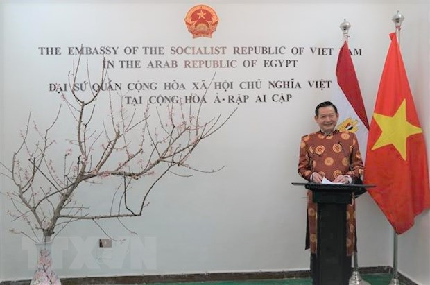 Kiều bào tại Ai Cập đón Xuân Canh Tý, hướng về cội nguồn dân tộc ảnh 1