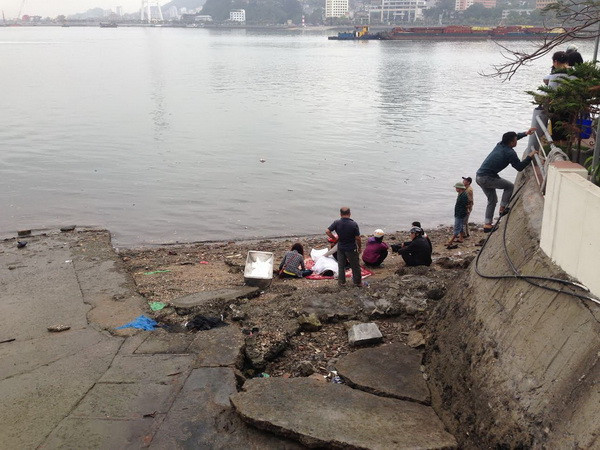 Mâu thuẫn với vợ, nam thanh niên nhảy cầu Bãi Cháy tự tử ảnh 1