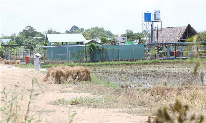 TP.HCM kiểm tra vi phạm trật tự xây dựng tại khu dã ngoại Green Park ảnh 1