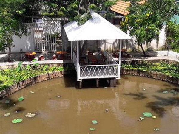 TP.HCM kiểm tra vi phạm trật tự xây dựng tại khu dã ngoại Green Park ảnh 2