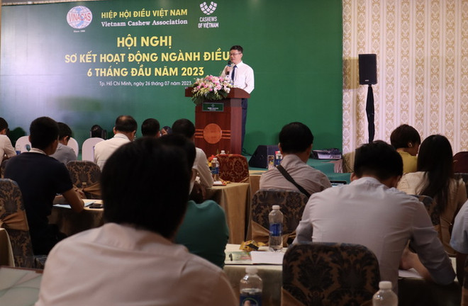 Ngành điều xin giảm 50 triệu USD chỉ tiêu kim ngạch xuất khẩu ảnh 1