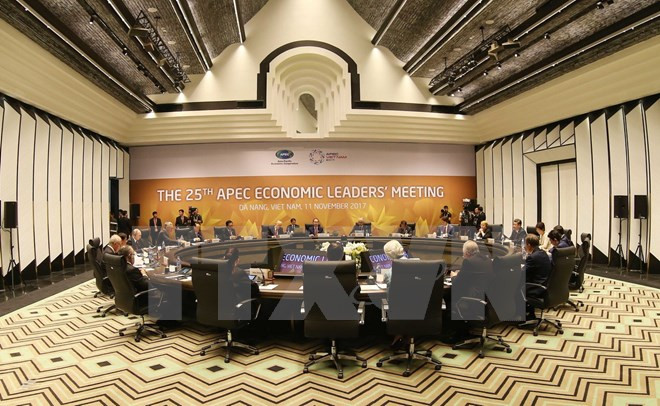 APEC 2017: Thúc đẩy hợp tác khu vực, nâng cao vị thế Việt Nam ảnh 1