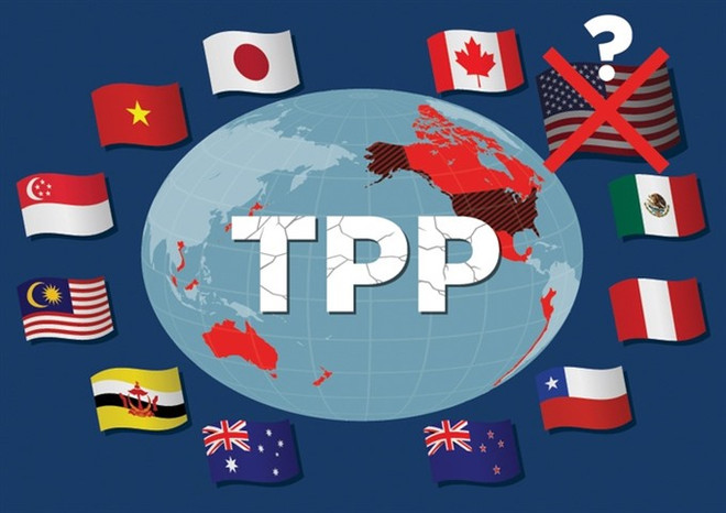 Các trưởng đoàn đàm phán TPP nhóm họp tại thủ đô Tokyo ảnh 1
