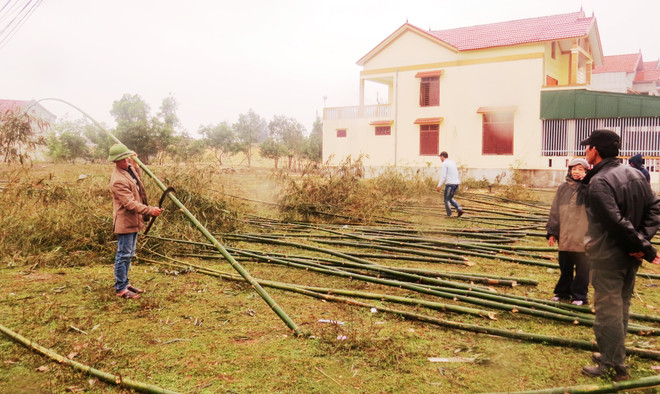 Lưu giữ Tết xưa qua tục dựng nêu ngày cuối năm ở làng biển ảnh 1