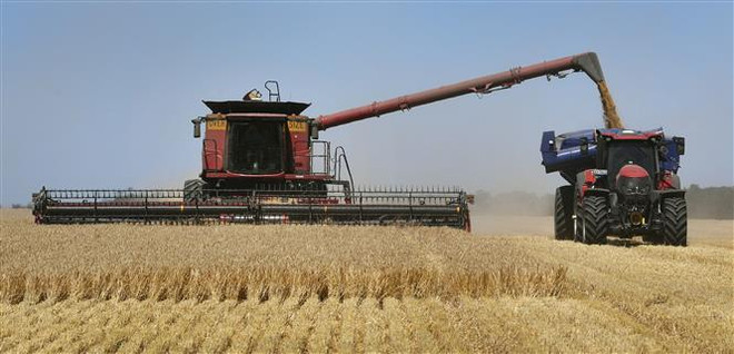 WTO thành lập hội đồng trọng tài xử lý tranh chấp Australia-Trung Quốc ảnh 1