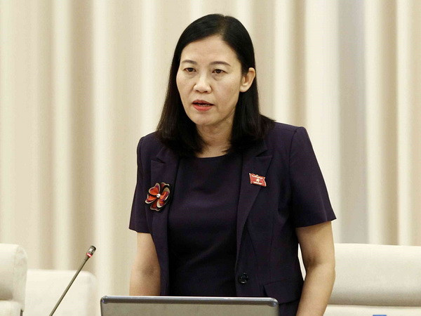 Ủy ban Thường vụ Quốc hội cho ý kiến về cơ cấu lại nền kinh tế ảnh 2