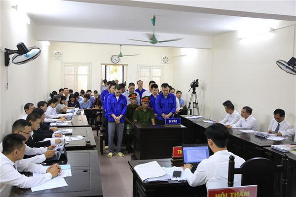 Nhân viên ngân hàng tiếp tay TGĐ CIMICO chiếm đoạt hơn 130 tỷ đồng ảnh 2