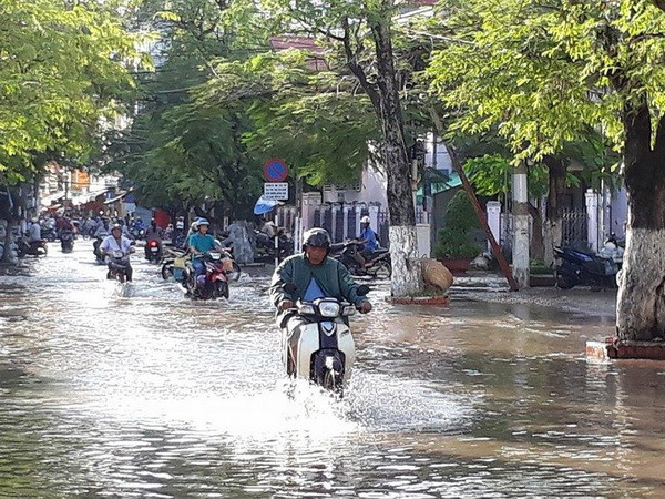 Triều cường dâng cao làm ngập nhiều tuyến đường nội ô thành phố Bạc Liêu. (Ảnh: Huỳnh Sử/TTXVN) Triều cường dâng cao kỷ lục 35 năm qua tại Bạc Liêu ảnh 1