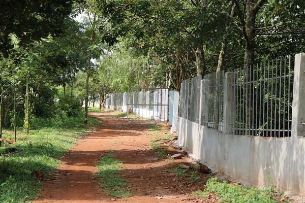 Một tường rào dài hàng trăm mét được xây dựng trên đất trồng cao su tại xã Kiến Thành, huyện Đắk R’Lấp, tỉnh Đắk Nông, hoàn thành đúng vào thời điểm công bố kế hoạch thu hồi đất. (Ảnh: Hưng Thịnh/TTXVN) Đắk Nông: Nhà xây bất thường trên đất sắp thu hồi khai thác alumin ảnh 2